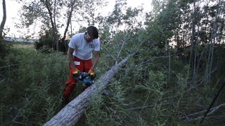 Makita Chainsaw Review VS Dewalt BampB Lawn Care [upl. by Malkah675]