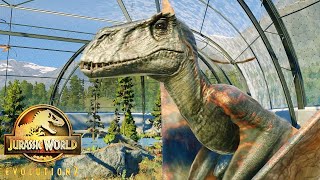 Species Field Guide Dimorphodon  Jurassic World Evolution 2 [upl. by Bazar288]