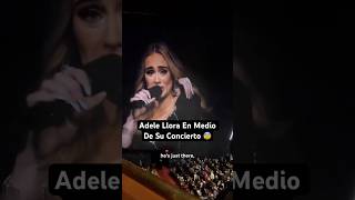 Fan Hace Adele LLORAR En Medio Del Concierto… [upl. by Pucida]