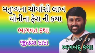 મનુષ્યના ચોર્યાસી લાખ યોનીના ફેરા ની કથા  ભાગવત કથા  જીગ્નેશ દાદા [upl. by Ydner]