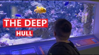 The Deep Aquarium Hull [upl. by Onfroi345]