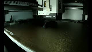 Printing with my Bambu Lab X1C [upl. by Euqinor]