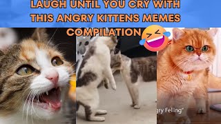 Laugh Until You Cry 🤣with These Angry Kittens Meme Compilationkitten catlovers [upl. by Leasi]