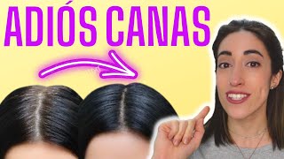 👌 ELIGE el NÚMERO de TINTE correcto para CUBRIR tus CANAS [upl. by Annawaj]