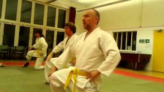 Ukemi kata rolling breakfall demo video 2013 [upl. by Kristina]