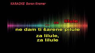 KARAOKE Bajaga  Pilule za lilule [upl. by Suoivart]