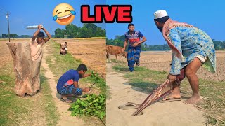 very amazing funny video live top funnniest comedy live 2024 [upl. by Botti]