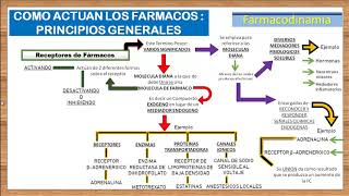 TEMA 3FARMACODINAMIA RECEPTORES FARMACOLOGICOS e introduccion a los AGONISTAS Y ANTAGONISTAS [upl. by Dnalevelc]