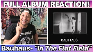 Bauhaus In The Flat Field FULL ALBUM REACTION amp REVIEW [upl. by Tuckie]