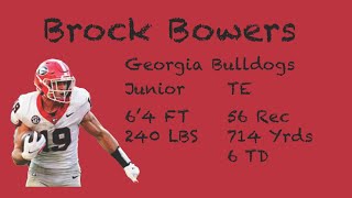 Brock Bowers Georgia Bulldogs 2023 Highlights [upl. by Anairol]