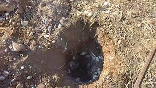 How to dig a hole in a stony clay soil [upl. by Eenyaj90]