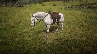 How To Get A Male White Arabian Or Turn Any Other Horse Into A Male In Any Chapter [upl. by Brittany65]