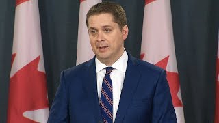 Scheer on pizzagate quotA ridiculous conspiracy theoryquot [upl. by Ybbob]