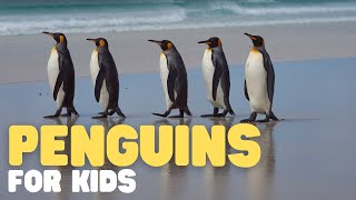 Penguins for Kids  Learn all about this unique bird [upl. by Chas]