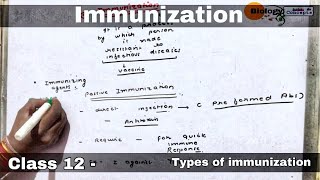 Immunization in hindi ll biology ll [upl. by Anwahsad]