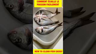 shorts Astuce comment écailler le poisson facile 🐠 Lifehack on how to easily clean fish [upl. by Yahiya]