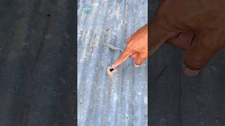 waterproofing treatment for roof cracks viral experiment shortvideo diy shorts funny [upl. by Liddy]