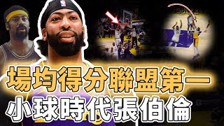 全力競爭本賽季MVP！場均得分聯盟第一的Anthony Davis真實表現到底有多誇張？內線出手刷新生涯紀錄、更完美消化LBJ球權，Redick：真正的戰術核心｜澤北SG [upl. by Rocher]