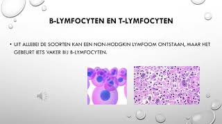 Non hodgkin lymfoom [upl. by Baptist]