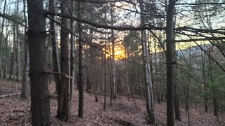 2022 PA Deer Season Self Filmed Deer Down [upl. by Thistle]