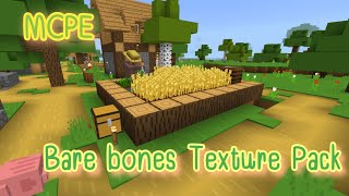 Minecraft PE  Bare bones Texture pack 120 [upl. by Alburg]