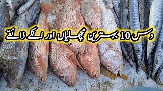 Top 10 Fish to eat In Pakistan  Types of Fishes In Pakistan  which Fish is good for Health [upl. by Alleuqram]