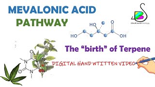 MEVALONIC ACID PATHWAY  TERPENE BIOSYNTHESIS  Secondary metabolites  Plant physiology  CSIR NET [upl. by Raul]