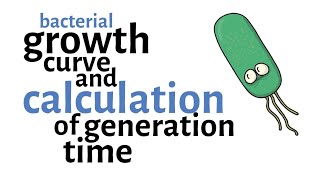 Bacterial Growth Curve amp Generation time Calculation [upl. by Ellekcim609]