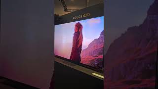 Son Teknoloji Ürünü Televizyon Sharp Aquos Xled  CES 2024 106 [upl. by Jacob44]