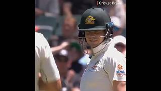 Smith Vs Wagner Iconic Battle cricket stevesmith neilwagner testcricket shorts youtubeshorts [upl. by Avlasor]