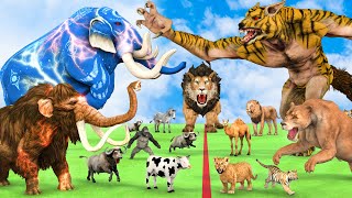 5 Giant Mammoth Elephant Cow Vs 5 Giant Lion Tiger Wolf Attack Buffalo Zebra Saved by Woolly Mammoth [upl. by Farley]