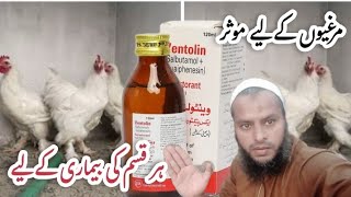 ventolin with out sugar for chickens  dasi murgion ko bimarion say bachay ventolin pilaay [upl. by Gregoor]