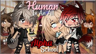 A Human In An All Alpha School  Gacha Life  GLMM [upl. by Lauretta]