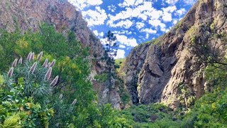 Ruta de las galerías “Barranco de Tágara”  Guia de Isora [upl. by Mcnutt]