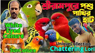 শ্রীরামপুরে পশু পাখির হাট  Unique Collection Chattering lory💥 White Eyed Conure Serampore Market [upl. by Aydidey225]