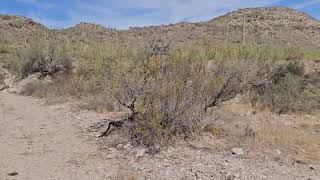 Gold Placer Mining Claim For Sale  Wickenburg Arizona  20 acres  GV01 [upl. by Moseley]