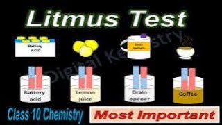 ACID BASE AND SALT TESTING BY VMG SONI SIR [upl. by Atrice]