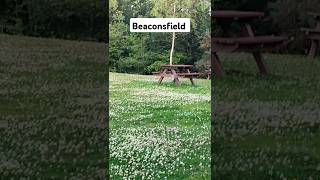 Beaconsfield Service london service shortsvideo [upl. by Yelsnit]