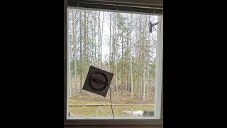 Ecovacs Winbot W2 window cleaning robot doing its job [upl. by Landmeier]