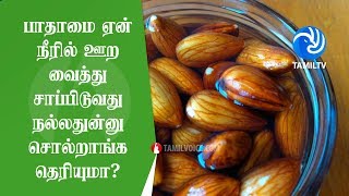 பாதாமை ஏன் நீரில் ஊற வைத்து சாப்பிடுவது நல்லதுன்னு சொல்றாங்க தெரியுமா  Tamil TV [upl. by Yemirej]