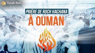 Prière de Roch Hachana à Ouman [upl. by Carilla]