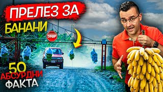 50 Абсурдни ФАКТА които НЯМА ДА ПОВЯРВАТЕ ЧЕ СА ИСТИНА [upl. by Shellans]