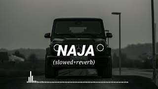 na ja  slowed  reverb   slowed reverb by RV  use headphone 🎧 [upl. by Tsugua]