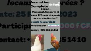 Formation complète sur lélevage des Poulets Locaux Améliorés [upl. by Kean]