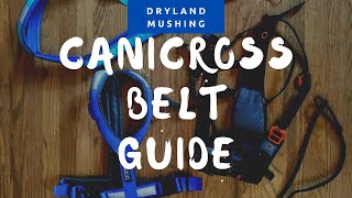 Choosing a Canicross Belt [upl. by Farron]