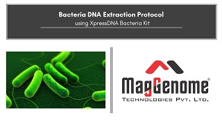 XpressDNA Bacteria Kit  Bacterial DNA Extraction Protocol [upl. by Adnanref]