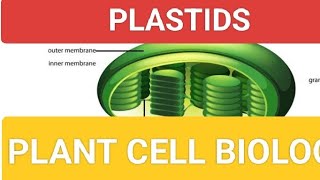 PLASTID I CELL BIOLOGY INEETI JPSC UPSC UPPCS BPSC AND ALL GOVERNMENT EXAMS [upl. by Eremihc]