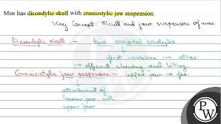 Man has dicondylic skull with craniostylic jaw suspension [upl. by Enileuqkcaj]