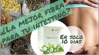 ¿La MEJOR fibra para LIMPIAR el INTESTINO🍆FIBRE SYSTEM4Life ¡Natural 100🌿🍏Digestión y colon😋 [upl. by Artened]