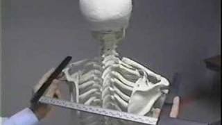 CDC Anthropometric Vid Introduction [upl. by Borlase]